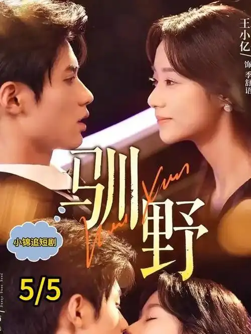 档案室里的春天 职场剧海报